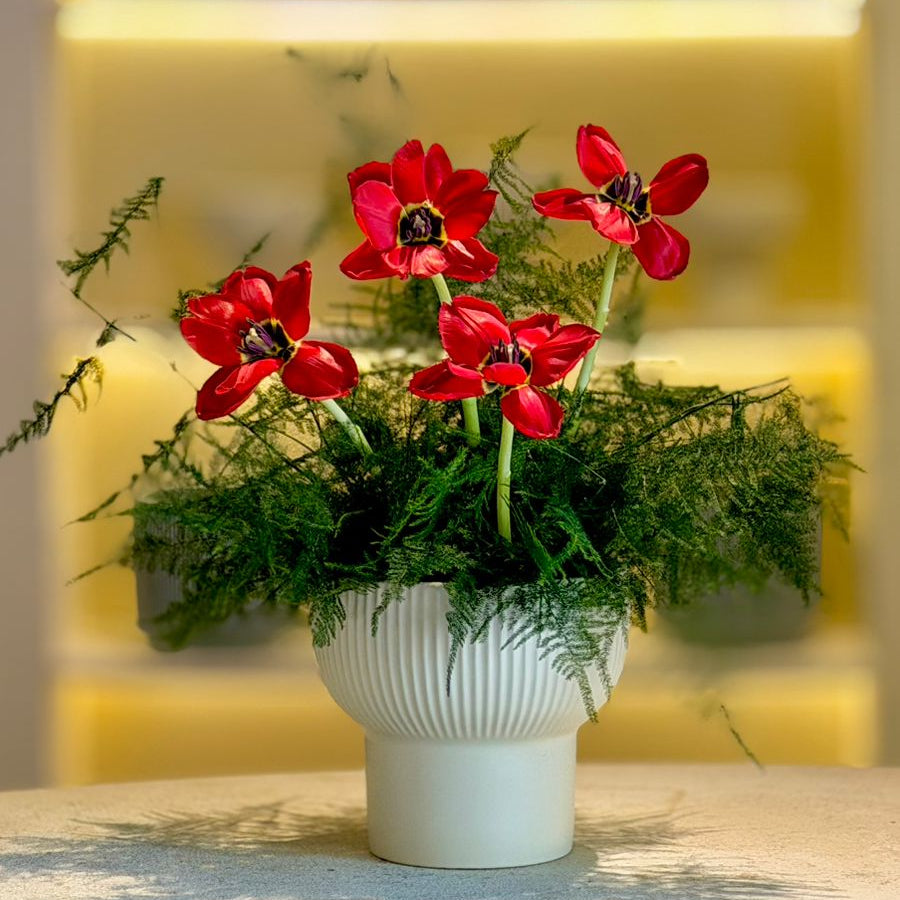 SHOUQ - PASSIONATE LONGING