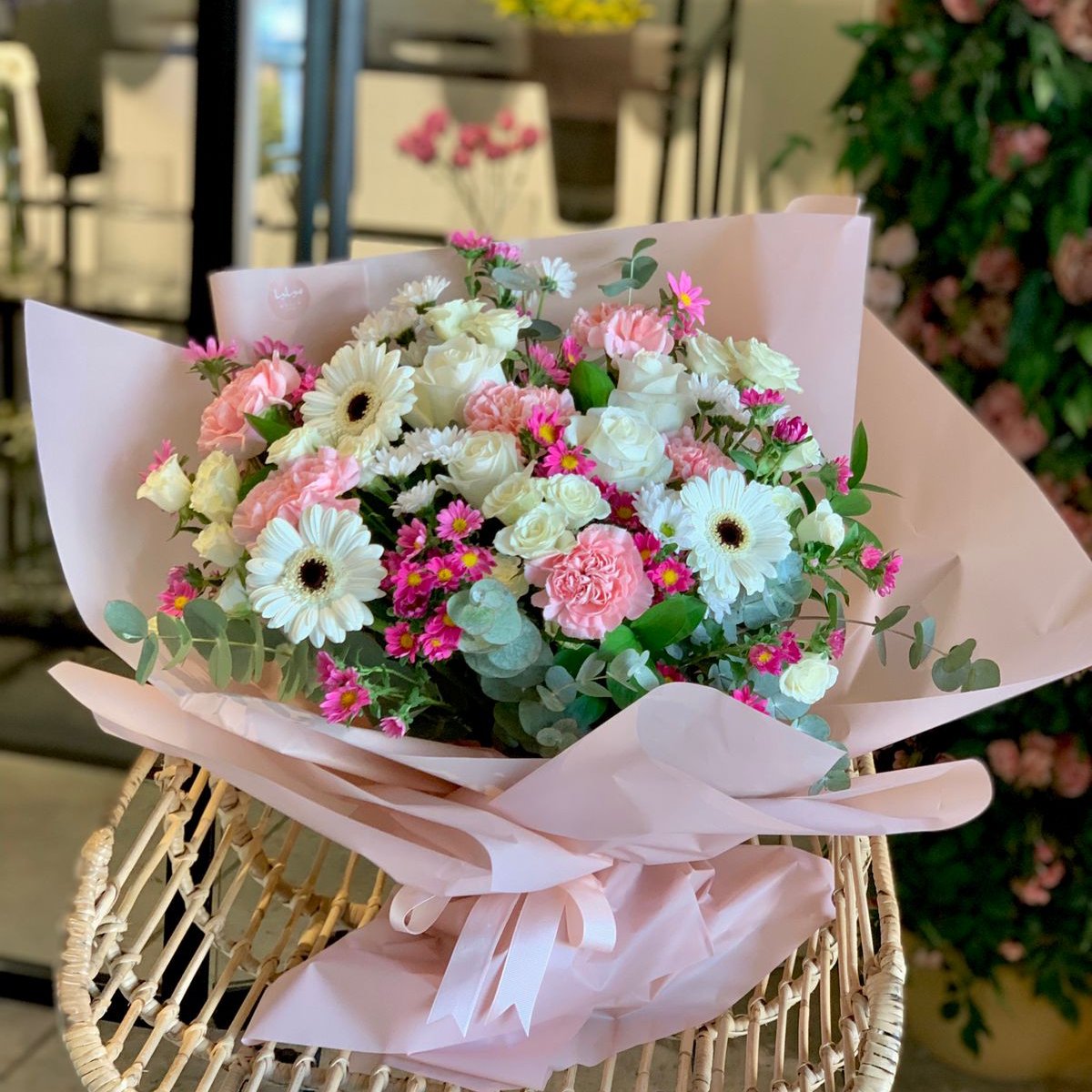 Mujamalat- مجاملات