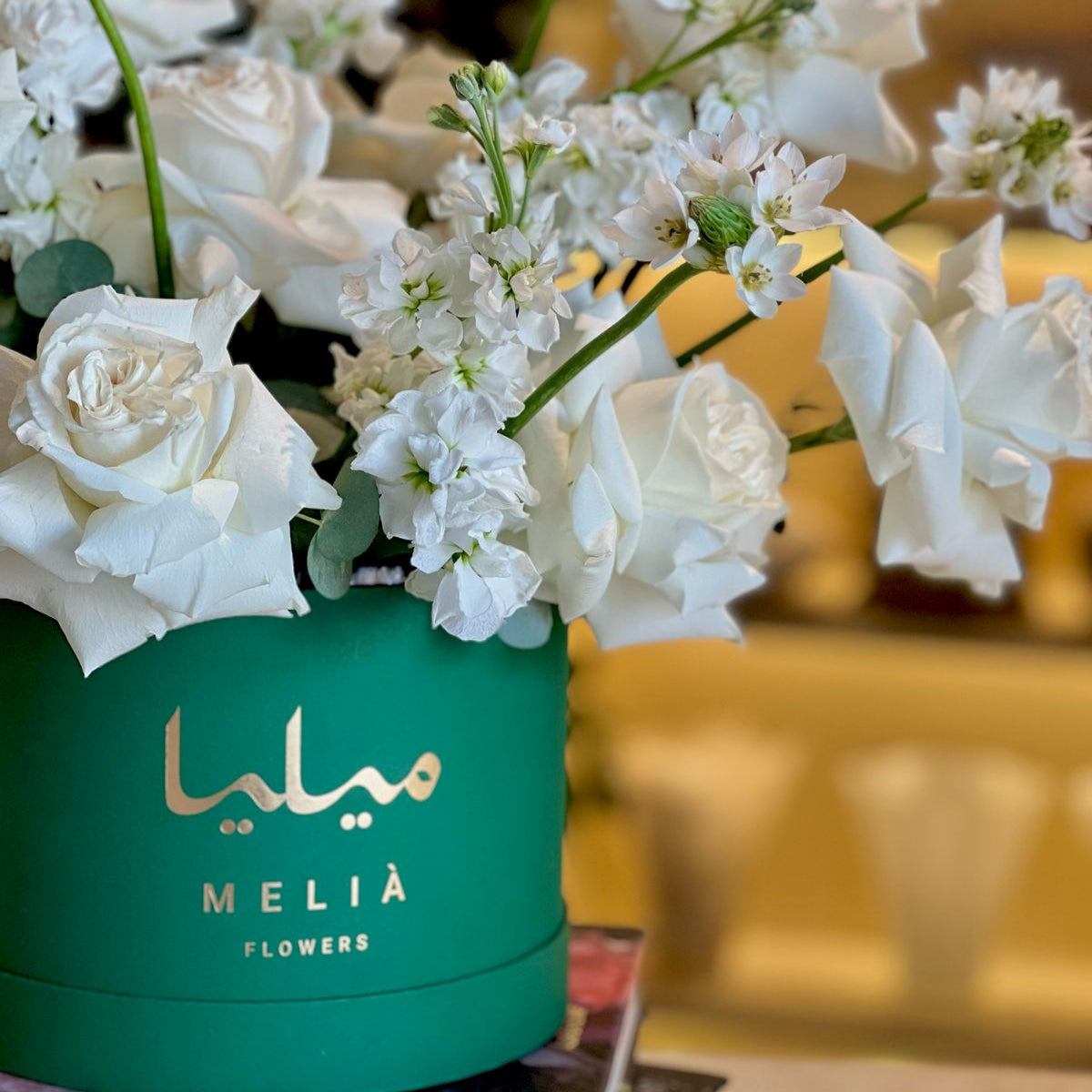 Ramadan Bloom